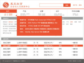 鳳凰教育軟件產(chǎn)品及平臺風(fēng)格及vi設(shè)