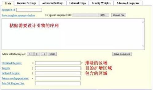 設計引物怕踩坑？這3款在線軟件輕松掃雷——淄博軟件設計指南